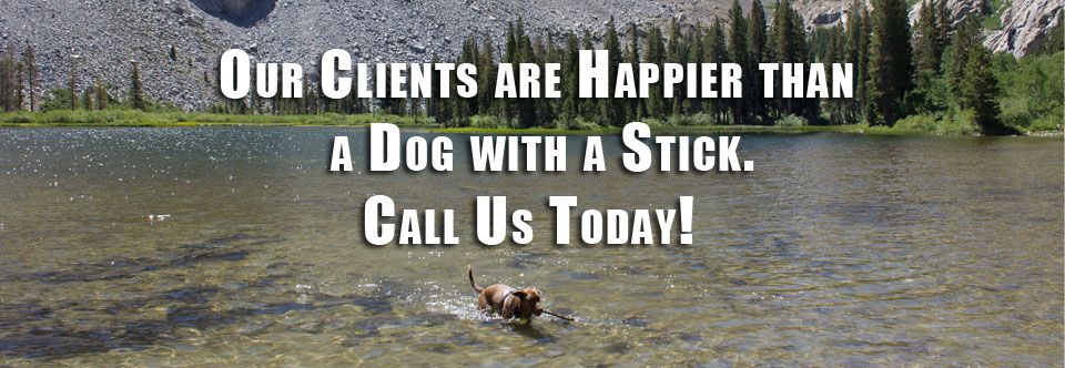 Dog with stick in water with advertising marketing services quote on top